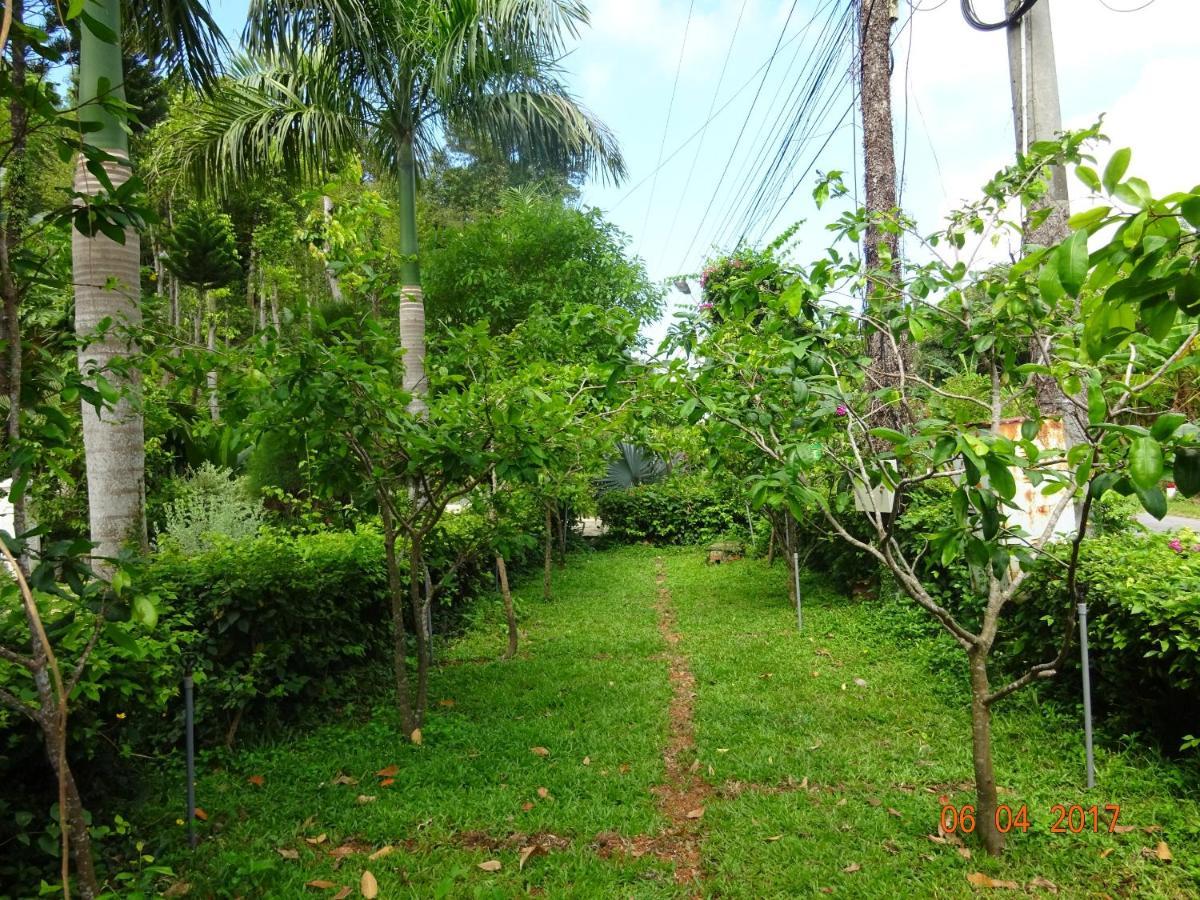 Green Hill Guest House Kien Luong Ngoại thất bức ảnh